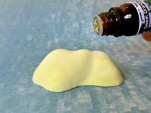 画像をギャラリービューアに読み込む, 渡辺真悠「空想トラベルアロマキット」