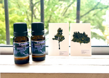 画像をギャラリービューアに読み込む, 渡辺真悠「空想トラベルアロマキット」