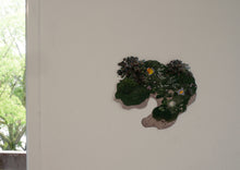 画像をギャラリービューアに読み込む, 渡辺真悠「キンモクセイ山温泉」