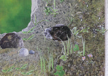 画像をギャラリービューアに読み込む, 渡辺真悠「細胞の湯」(平面)