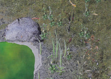 画像をギャラリービューアに読み込む, 渡辺真悠「細胞の湯」(平面)